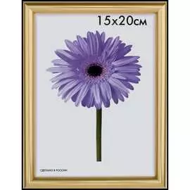 Пластиковая рамка ООО Изометрика