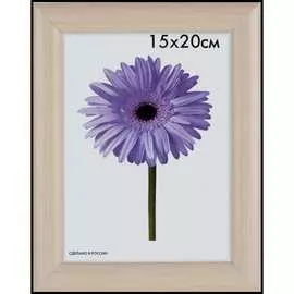 Пластиковая рамка ООО Изометрика