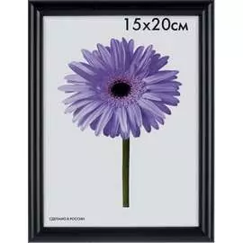 Пластиковая рамка ООО Изометрика Maria 0052-16-1078