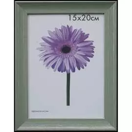 Пластиковая рамка ООО Изометрика Jasmin 0096-6-3441