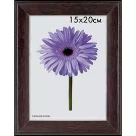 Пластиковая рамка ООО Изометрика