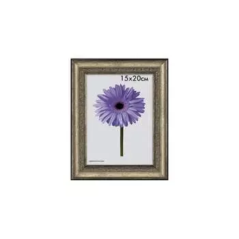 Пластиковая рамка ООО Изометрика Daria 0058-16-3030