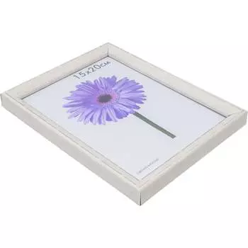 Пластиковая рамка ООО Изометрика Viola 0118-6-4509