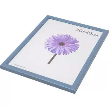 Пластиковая рамка ООО Изометрика Dominica 0042-15-2606