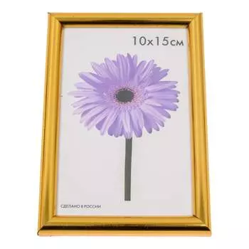 Пластиковая рамка ООО Изометрика Maria 0052-4-0021