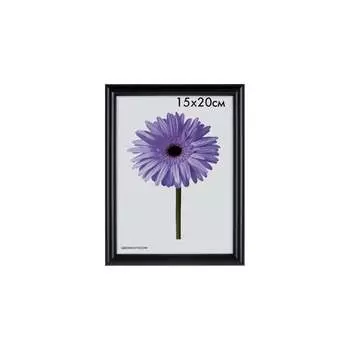 Пластиковая рамка ООО Изометрика Maria 0052-6-1078