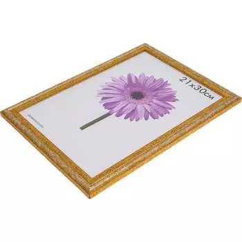 Пластиковая рамка ООО Изометрика