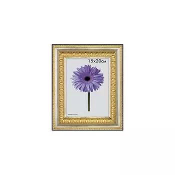 Пластиковая рамка ООО Изометрика Charlotta 0024-70-1487