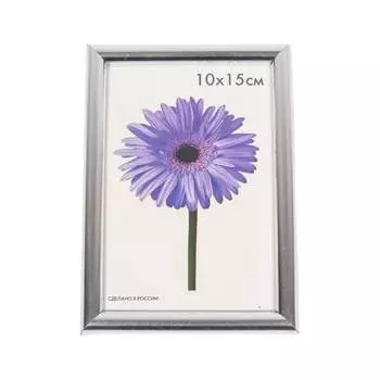 Пластиковая рамка ООО Изометрика Maria 0052-4-0022