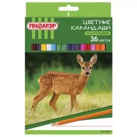 Пластиковые цветные заточенные карандаши Пифагор