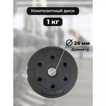 Пластиковый диск BARFITS D26 1181160630