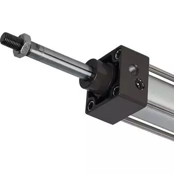 Пневмоцилиндр NBPT 81203