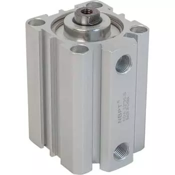 Пневмоцилиндр NBPT 81753