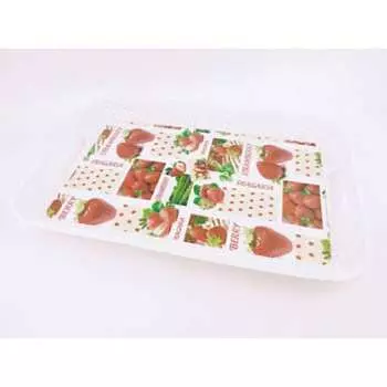 Поднос Bikson 21SK198 ТП9775