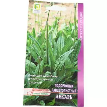 Подорожник ланцетолистный Агрохолдинг ПОИСК Лекарь (А) 661349