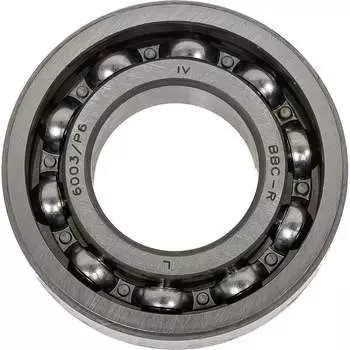 Подшипник BBC-R 6003 /P6 (6-103) PLAST 6-103