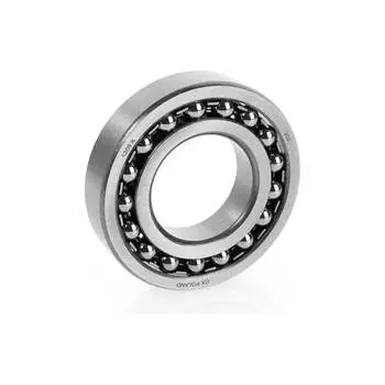 Подшипник CX 169