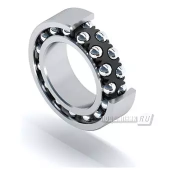 Подшипник DINROLL 1309TN 6000000001971