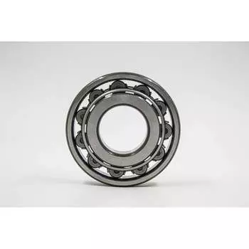 Подшипник DINROLL NF309 2001000964376