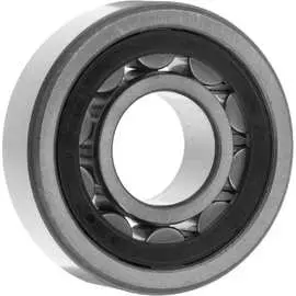 Подшипник NTN NJ205ET2x 4547359117264