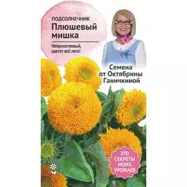 Подсолнечник семена ОКТЯБРИНА ГАНИЧКИНА