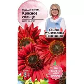 Подсолнечник семена ОКТЯБРИНА ГАНИЧКИНА Красное солнце 119352