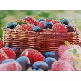 Подставка под горячее Bikson