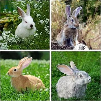 Подставка под горячее МУЛЬТИДОМ Кролик МТ88-435