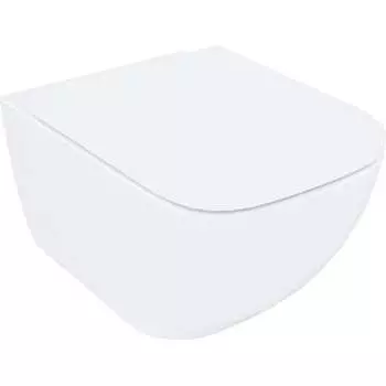 Подвесной безободковый унитаз IDDIS Torr TORRDSEi25