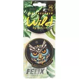 Подвесной картонный ароматизатор FELIX