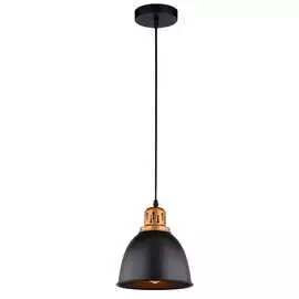 Подвесной светильник ARTE LAMP EURICA A4245SP-1BK