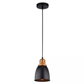Подвесной светильник ARTE LAMP A4248SP-1BK
