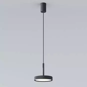 Подвесной светильник Elektrostandard plate a065411