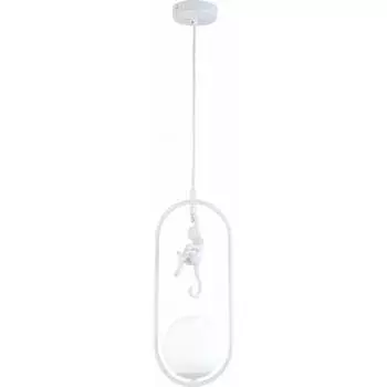 Подвесной светильник Evoluce SLE115123-01