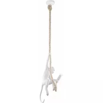 Подвесной светильник Evoluce