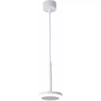 Подвесной светильник FAVOURITE