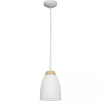 Подвесной светильник LOFT IT Watchman LOFT4402A-WH