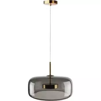 Подвесной светильник LOFT IT Dauphin 10041B