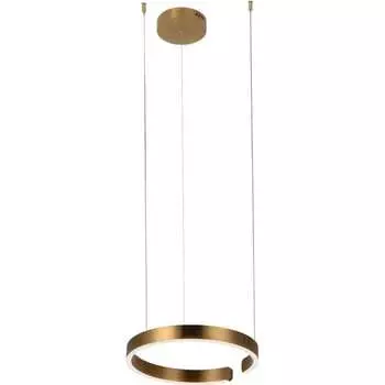 Подвесной светильник LOFT IT Ring 10013S