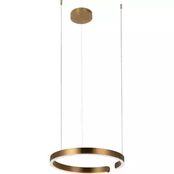 Подвесной светильник LOFT IT Ring 10013M