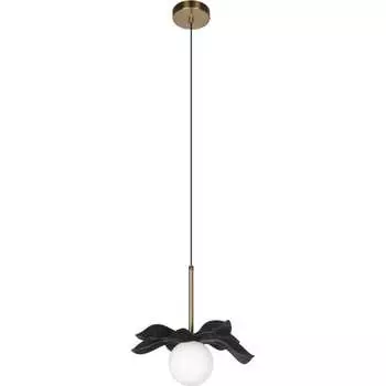 Подвесной светильник LOFT IT Monro 10213/A Black