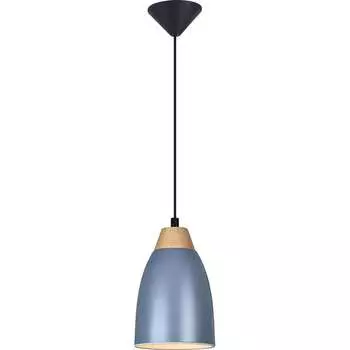 Подвесной светильник TOPLIGHT leah TL0724H-2N