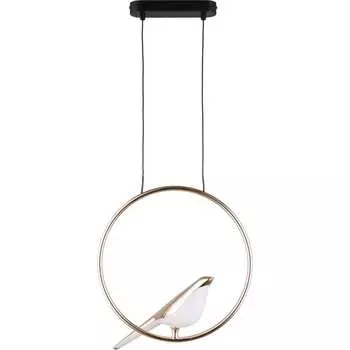 Подвесной светодиодный светильник Aployt