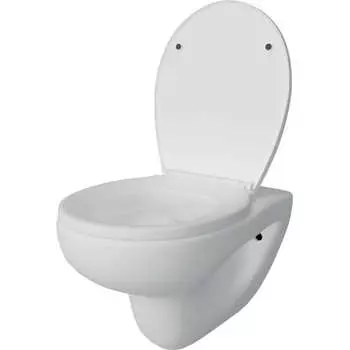 Подвесной унитаз Teymi Hanna Pro ЦБ-00267263