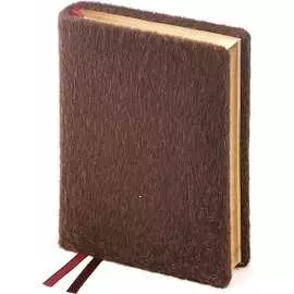 Полудатированный ежедневник Bruno Visconti