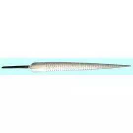 Полукруглый остроносый рашпиль CNIC 25338