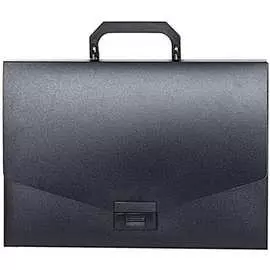 Портфель INFORMAT NL6175-01