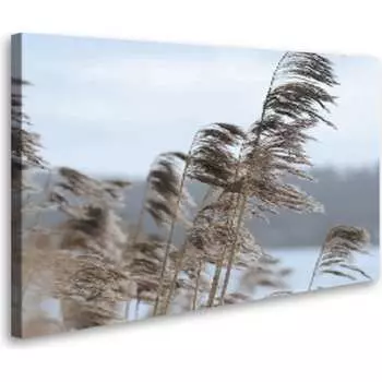 Постер (картина) Студия фотообоев