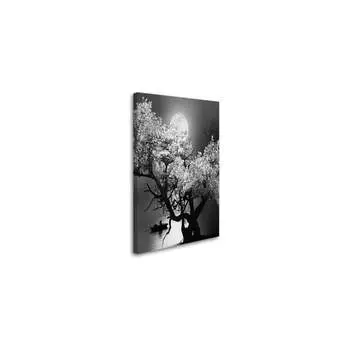 Постер (картина) Студия фотообоев