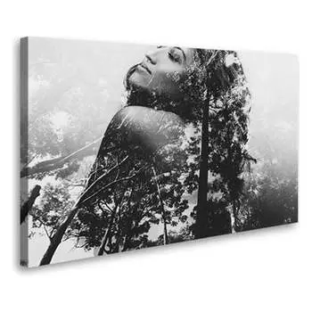 Постер-картина Студия фотообоев